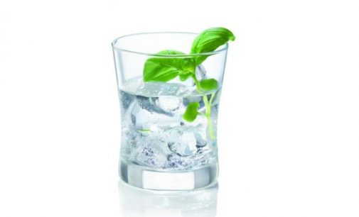 Campari Group Launches New Super Premium Gin