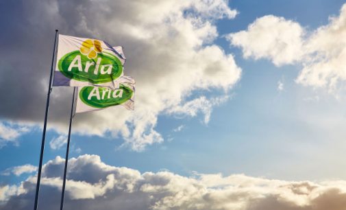 British Dairy Farmers to Benefit From a £64 Million Share of a £245 Million Arla Foods Pot