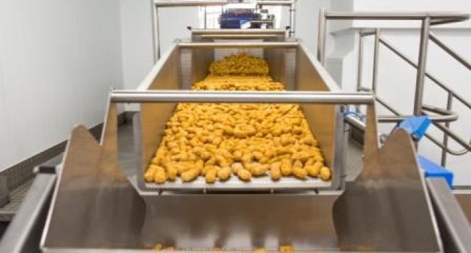 tna Helps Frozen Seafood Manufacturer to Double Packaging Speed