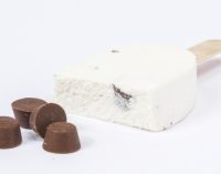 Tetra Pak® Extrusion Wheel Produces Stick Ice Cream Products With Large Inclusions at Highest Capacity