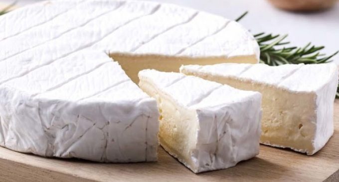 New Starter Culture Secures Mild and Creamy Soft Cheeses