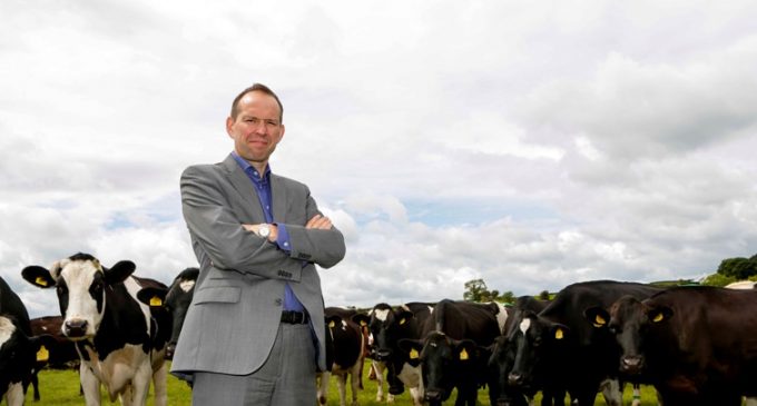 Third Year of Consistent Growth For Dale Farm