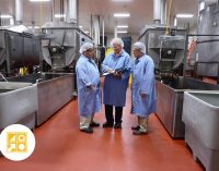 Going Beyond Food Industry Flooring Standards