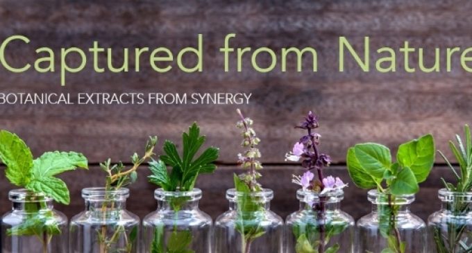 Synergy Flavours Launches ‘Captured From Nature’ Botanical Extracts Range