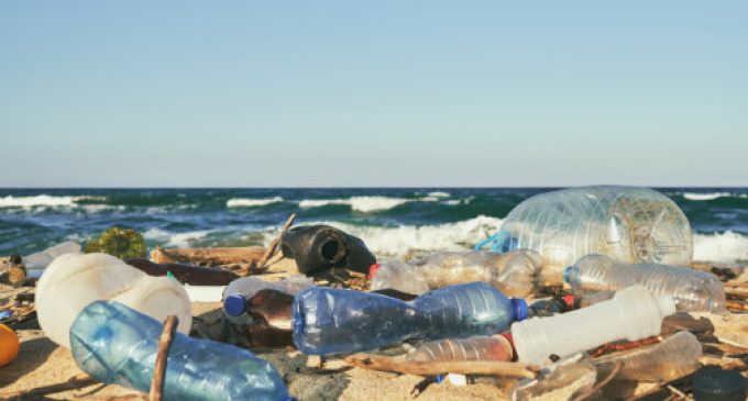 Widespread Support For Plastic Packaging Tax