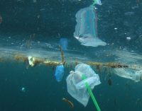 EU Ban on Throwaway Plastics By 2021