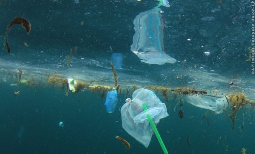 EU Ban on Throwaway Plastics By 2021