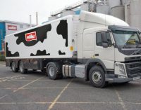 Müller Confirms UK Dairies Review and Logistics Partnership With Culina Group