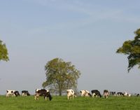 Agrial Continues Strategic Expansion With German Dairy Acquisition