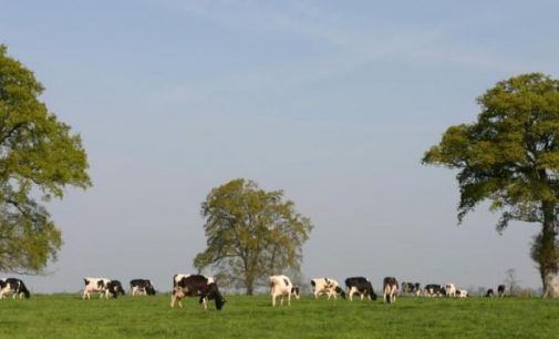 Agrial Continues Strategic Expansion With German Dairy Acquisition