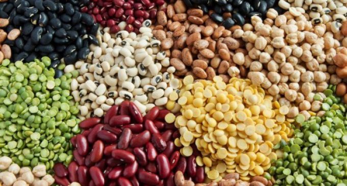 Report Finds Growth Potential For EU Plant Proteins