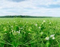 Roquette and Barentz Confirm Strong Future Partnership in Food in Europe