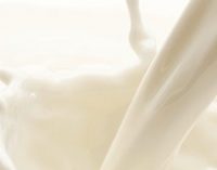 U.S. Dairy Exports Volume Sets All-time High Mark in 2020