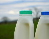 Müller Milk & Ingredients to Reduce Plastic Use and Food Waste as it Simplifies Fresh Milk and Cream Range