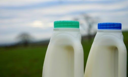 Müller Milk & Ingredients to Reduce Plastic Use and Food Waste as it Simplifies Fresh Milk and Cream Range