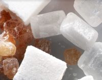 Nordzucker to Invest €100 Million in Swedish Sugar Production