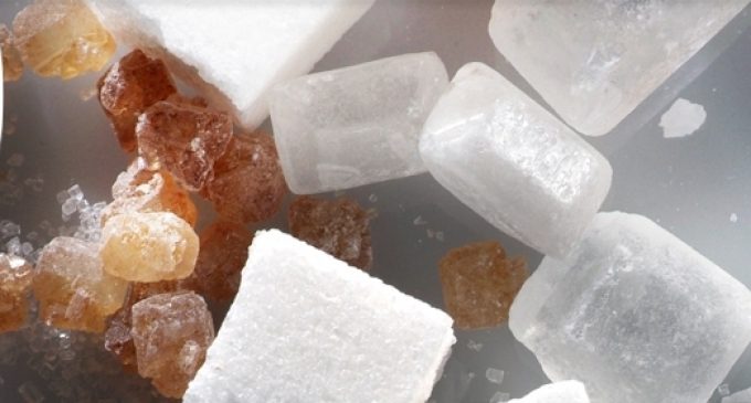 Nordzucker to Invest €100 Million in Swedish Sugar Production