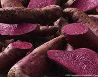 Introducing the Hansen Sweet Potato™ – The Secret Behind the Market’s Best Carmine Alternative