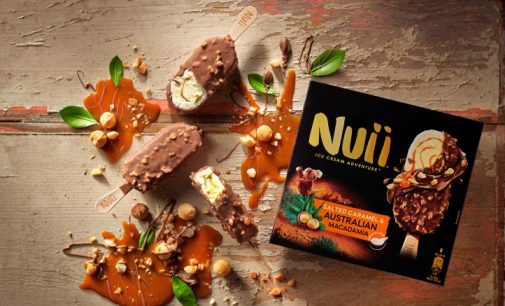 Froneri Launches Nuii Premium Ice Cream Stick in the UK and Europe