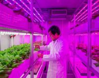 Vertical ‘Container Farms’ Can Produce Bigger and Better Natural Crops