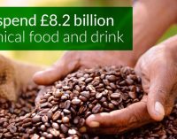 UK Ethical Food and Drinks Sales Hit £8.2 Billion