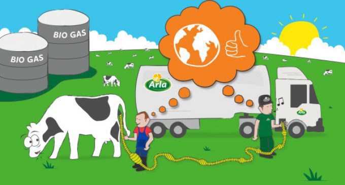 Powering Trucks With Cow Manure