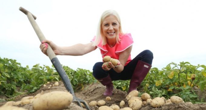 Bord Bia Drive to Make Potatoes More “Insta-friendly” With the Millennial Consumer