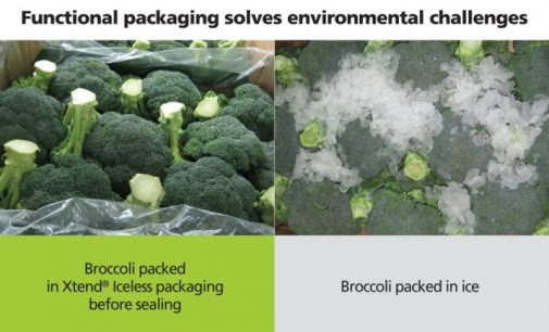 StePac – Taking Broccoli Packaging Out of the Ice Age