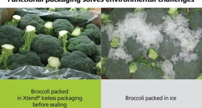 StePac – Taking Broccoli Packaging Out of the Ice Age