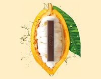 Nestlé Invents First 70% Dark Chocolate Made Entirely From Cocoa Fruit