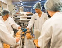English Food Manufacturers Sign Up to Made Smarter Support