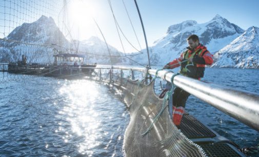 Norwegian Seafood Exports Top NOK107 Billion in 2019