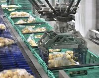 Brillopak’s Fresh Produce Packing Robot Wins Innovation Award