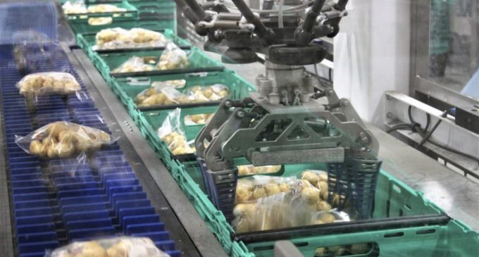 Brillopak’s UniPaker Handles 66 Million Kilos of Potatoes a Year For Morrisons
