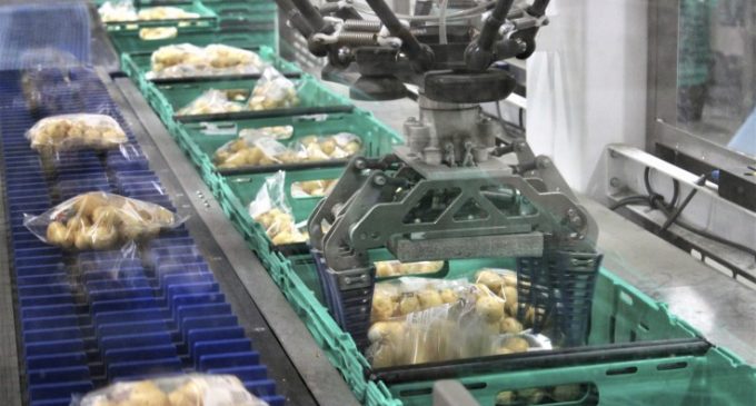 Brillopak’s Fresh Produce Packing Robot Wins Innovation Award