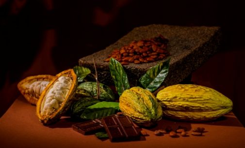 European Innovators Target the ‘Chocoisseurs’