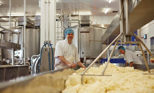 Wensleydale to Increase Cheese Production With £17.9 Million HSBC UK Support