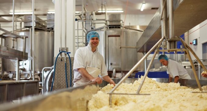 Wensleydale to Increase Cheese Production With £17.9 Million HSBC UK Support