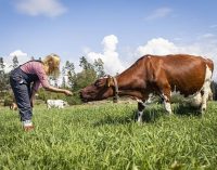 Valio Aims at Carbon Neutral Dairy by 2035