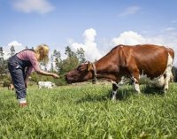 Valio is First Finnish Food Company to Set Climate Targets in Line With the Paris Agreement