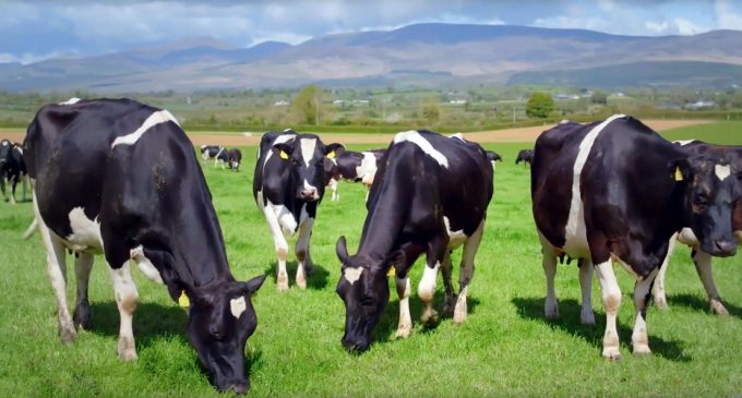 Enterprise Ireland to invest €14 million in new dairy research programme