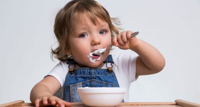 Adult Influences Inspire Baby Foods and Snacks Innovation