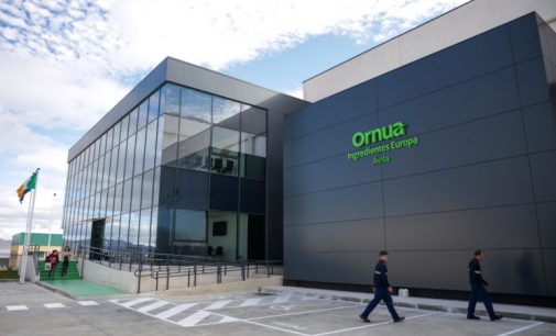 Ornua Delivers Strong 2019 Performance With Operating Profit Up 21.5%
