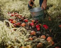 Ramborn Cider Achieves European First