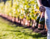 Global English Wine Sales Double