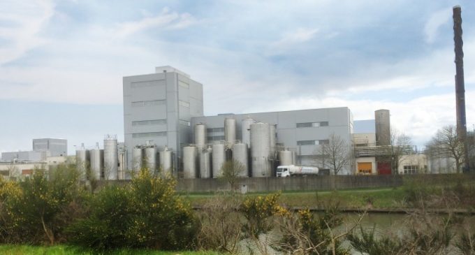 Royal A-ware to Expand Milk Powder Production