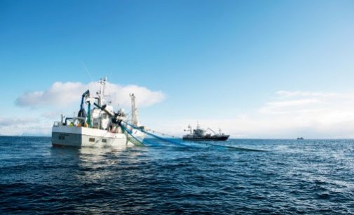 Stable Norwegian Seafood Exports in 2020 Despite the Corona Pandemic