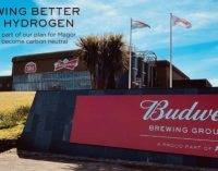 Budweiser Brewing Group to go green with hydrogen at Welsh brewery