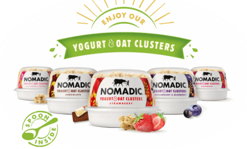 BiaVest and Development Capital to acquire Nomadic Dairy from Donegal Investment Group
