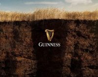 Guinness embarks on regenerative agriculture pilot